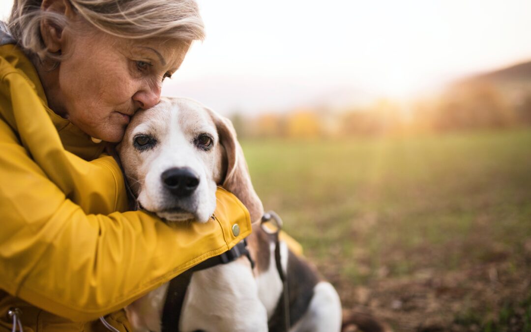 The Heartwarming Journey of Adopting a Senior Pet