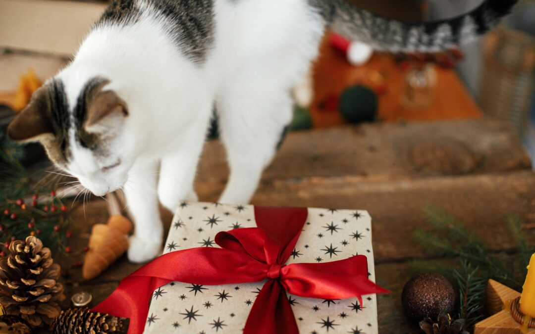 The Gift of Companionship: Why You Shouldn’t Surprise Someone with a Pet