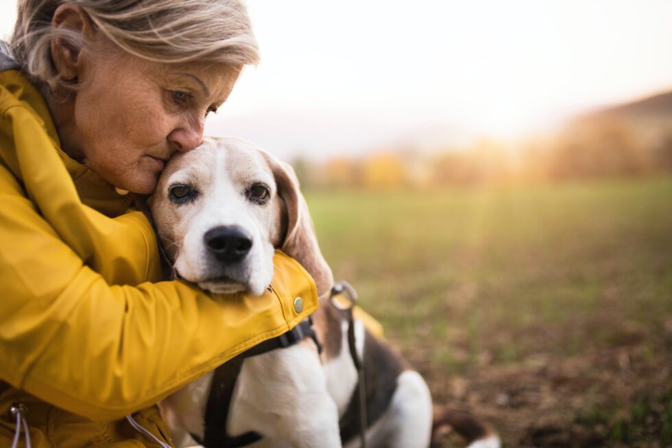 The Heartwarming Journey of Adopting a Senior Pet