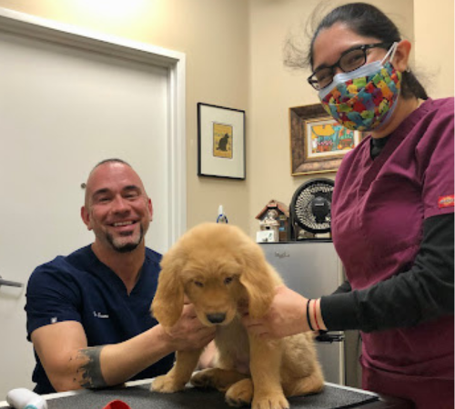 A dog sitting on the table with two vets