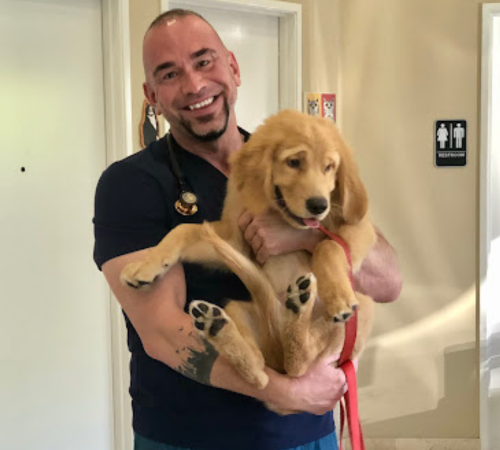 A vet gently held a dog in his arms